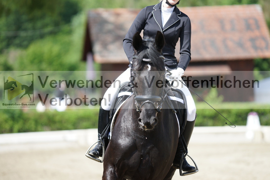 DSC04462 | equestrian-live-com