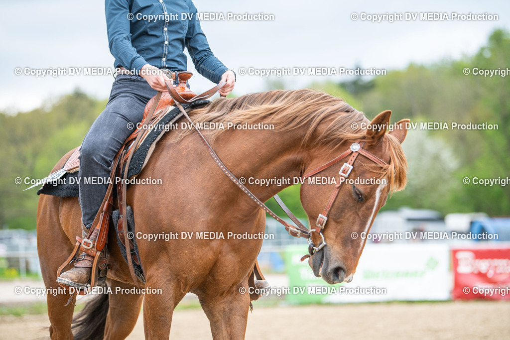 Heiligenwald Tag 1-1639 | dv-media-shop - Realisiert mit Pictrs.com