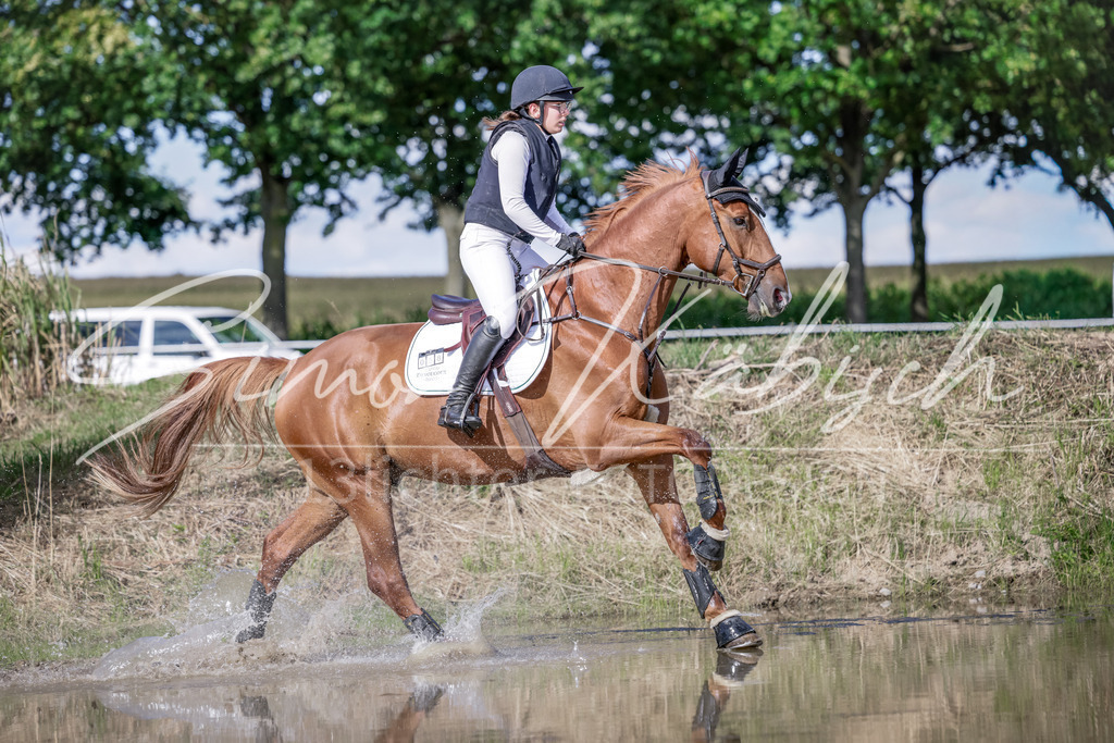 20250906-_3LI6884 | Tierfotografie Pferde, Hunde, Katzen, Haustiere.
Turnierfotografie Reitturniere, Reiten, Springreiten, Dressur in Hanau, dem Main-Kinzig-Kreis und dem Rhein-Main- Gebiet um Frankfurt