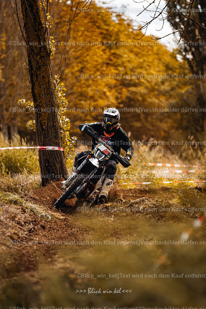 E68A2304 | blick_win_kel