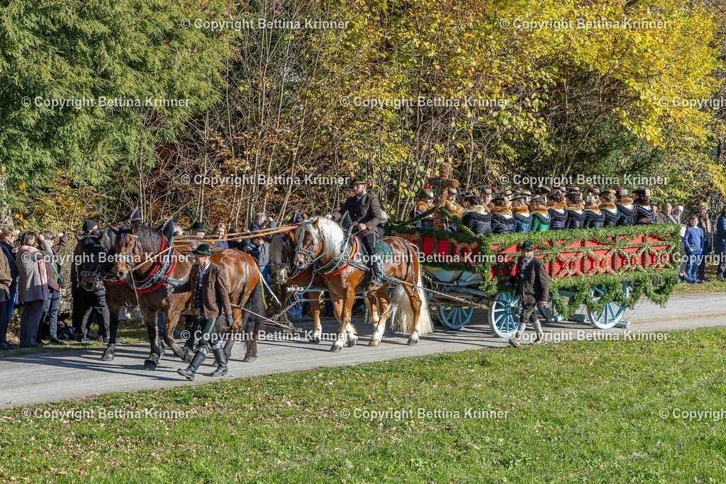 LBT25-648 | foto-bettina-krinner - Realisiert mit Pictrs.com