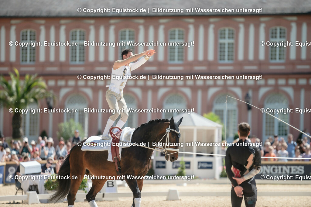 20230528_Voltigieren_NASPA_0204 | equistock