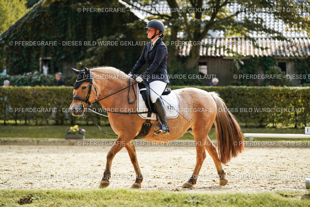 DSC01324 | Pferdegrafie