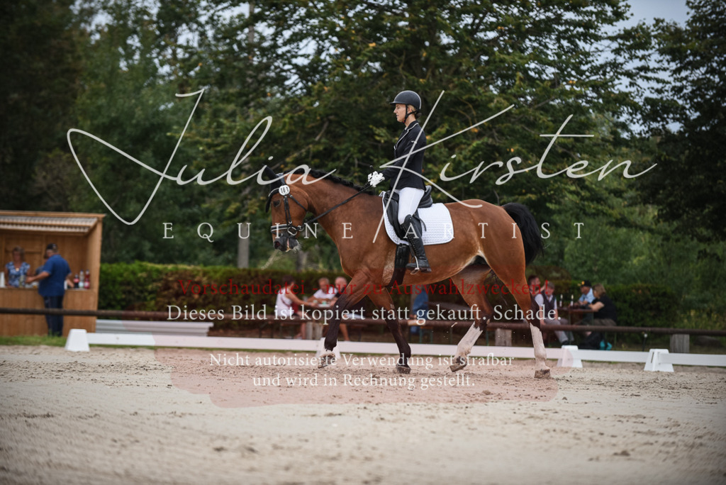 DSC_8263 | Pferde- und Turnierfotografie in Westsachsen. Pferdeportraits, Auftragszeichnungen und intuitive Kunst.