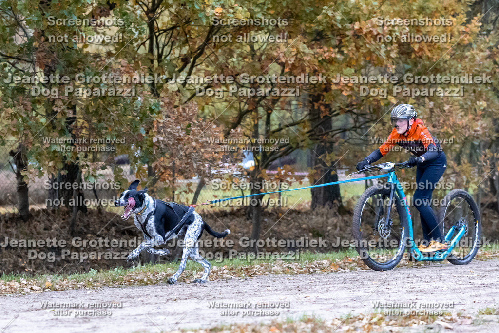 Dog Paparazzi - SD CaniX Championship 2025-175 | Dog Paparazzi Jeanette Grottendiek Fotografie & Videografie - Realisiert mit Pictrs.com