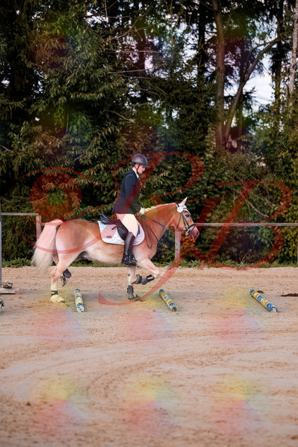 2026_10_03_Siefer-Hof_145425_Z81_34355512 | Professionelle Reitsport-, Turnier- und Eventfotografie von Robert Broda. Galerien mit ausgewählten und bearbeiteten Bildern direkt online ansehen und bestellen.