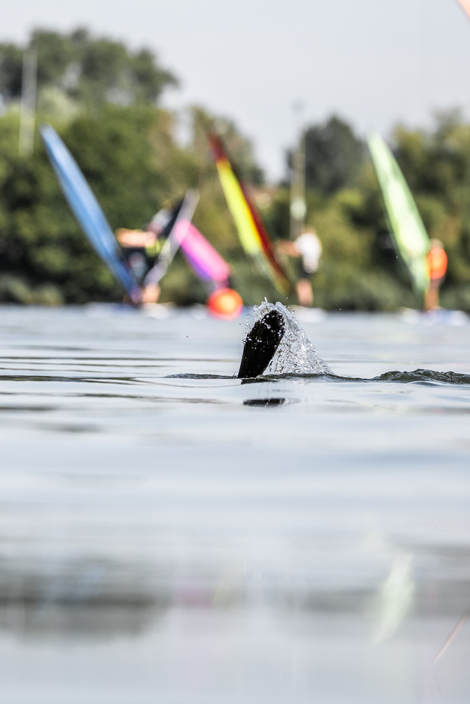 Surffestival Wilhelmshaven Tag 3 (54 von 149) | dp-photography - Realisiert mit Pictrs.com