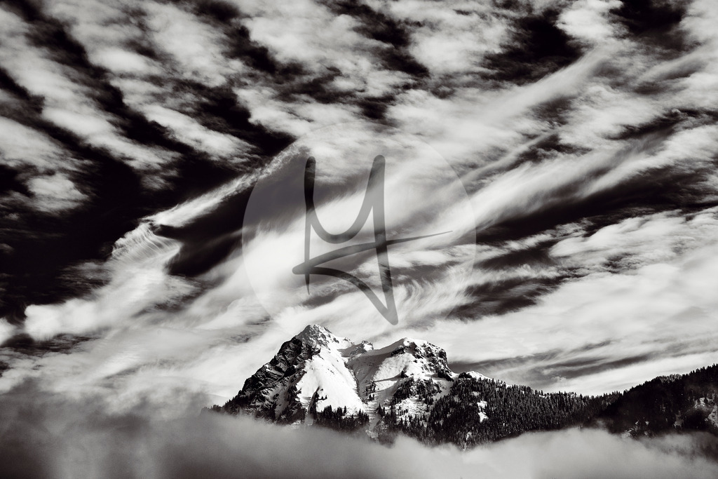 DSC_7169 1 | Meurer Shop - Realisiert mit Pictrs.com