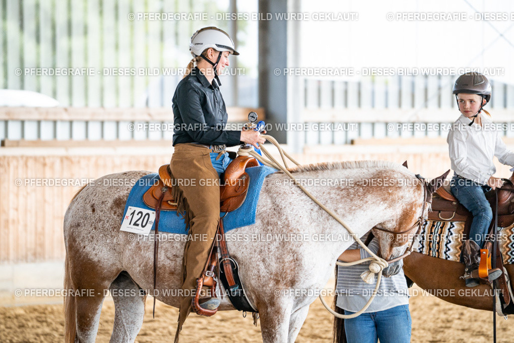 DSC08725 | Pferdegrafie