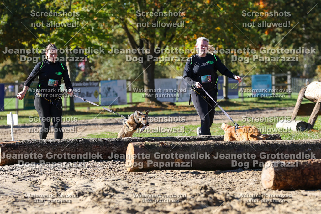 Dog Paparazzi - Strongdog 10-25-2667 | Dog Paparazzi Jeanette Grottendiek Fotografie & Videografie - Realisiert mit Pictrs.com