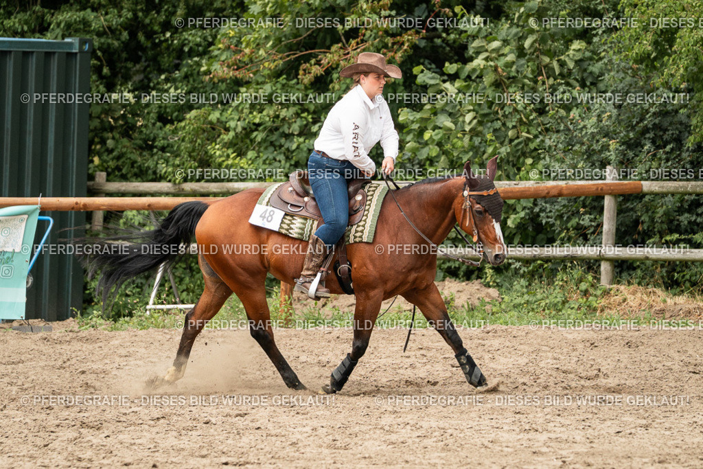 DSC02427 | Pferdegrafie