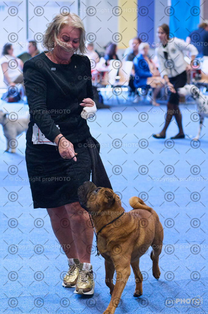 202406_ÖKV-IHA-Tulln24_DSC_4431 | proPHOTO - Realisiert mit Pictrs.com