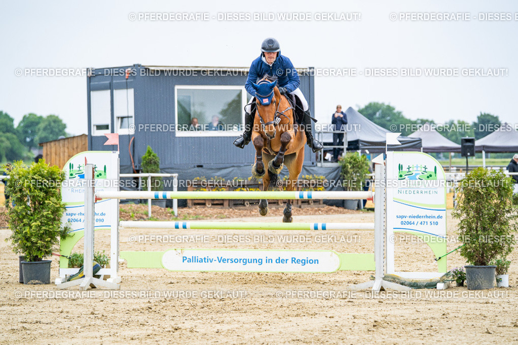 DSC08251 | Pferdegrafie