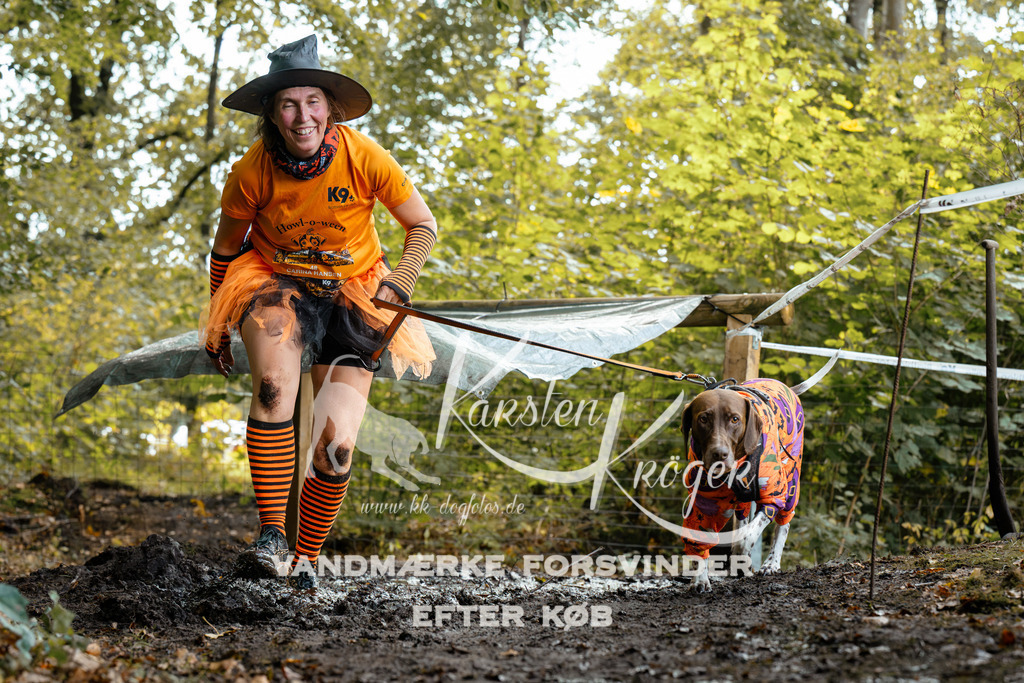 1417DZ6_1541Z6 | kk-dogfotos