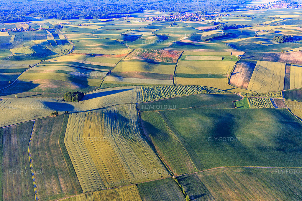 Vue aérienne: Paysage de champs et de prairies à Werbergraben à Salmbach dans le département Bas Rhin, France – .Photo: IMG_115536.jpg prise le 16/06/2019 par Werner Riehm/FLY-FOTO.eu – Résolution de l'original: 5472 x 3648 px