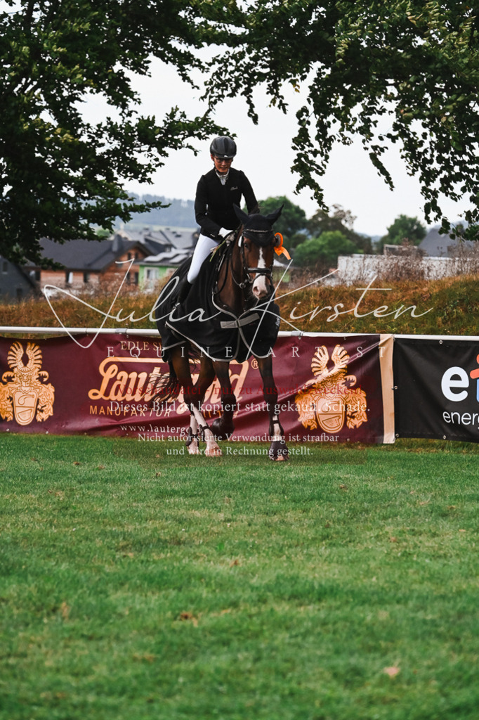 DSC_6232 | Pferde- und Turnierfotografie in Westsachsen. Pferdeportraits, Auftragszeichnungen und intuitive Kunst.