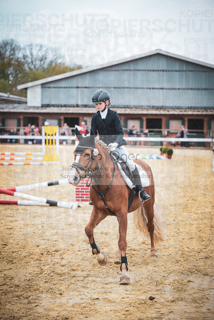 DOS_9725 | Entdecke hochwertige Reitturnierfotos von Foto Oger. Professionell, emotional und authentisch – jetzt Lieblingsmomente im Shop bestellen.Deutschlandweite Turnierfotografie. - Realisiert mit Pictrs.com