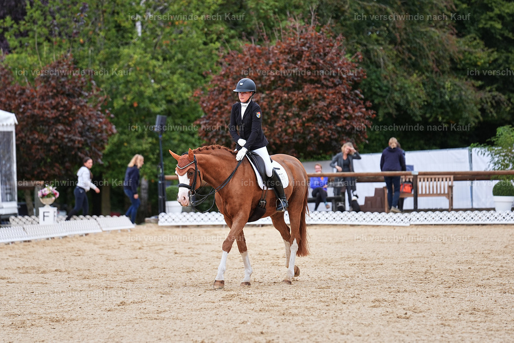 04_1-180-Dressur M__ -Marixx-2779 | working equitationturnier fotograf videograf stoibphotography marixx film working equitation deutschland reitsport turnierfotografie eventfotografie equestrian events