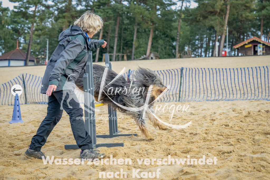 0908_ZZ91896-Bearbeitet | kk-dogfotos