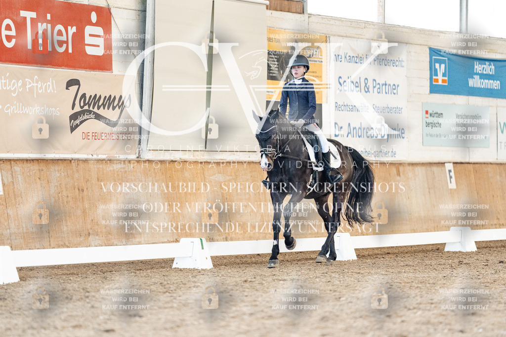 CK908242 | Turnierfotografie Pferdefotografie Trier Rheinland-Pfalz Pferdesport Reitsport Tierfotografie Sportfotografie Pferdevideo Pferdevideografie Equestrianvideography equestrianphotography  - Realisiert mit Pictrs.com