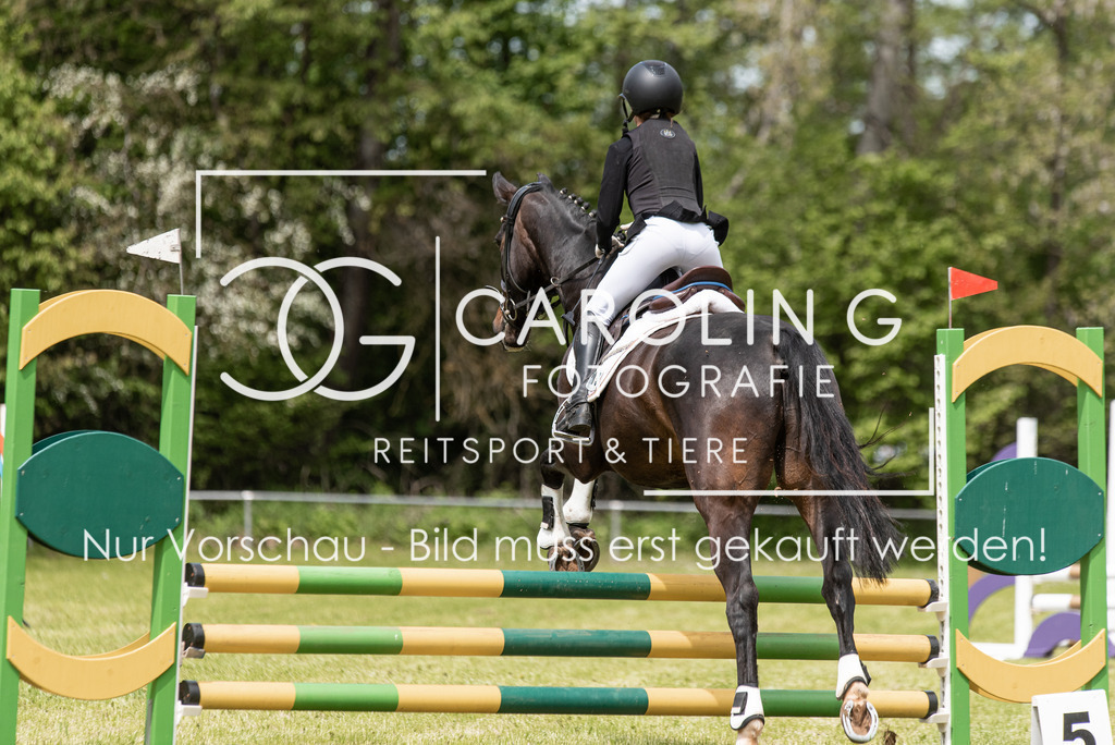 DSC_2862 | Turnierfotografin Carolin Gieschke, Turnierfotografie Carolin G Fotografie, Turnierfotos Kirchheim/Teck, Esslingen, Stuttgart, Bodenseekreis