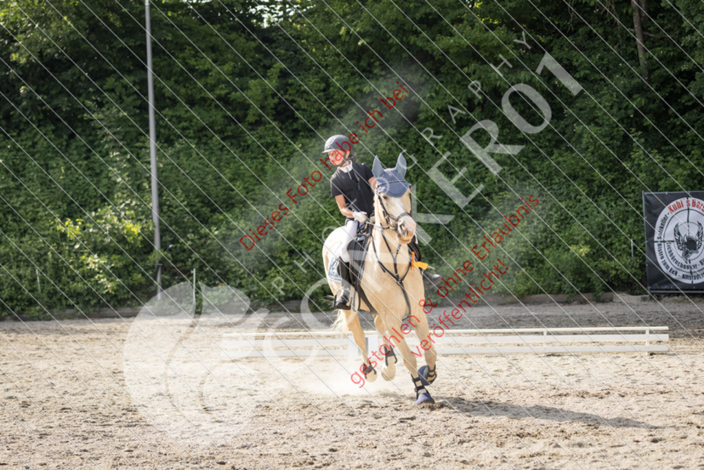 IMG_6101 | Sport-, Event- und Tierfotos in Profiqualität. Einfach auswählen, bestellen und herunterladen. Dein Moment – perfekt festgehalten.