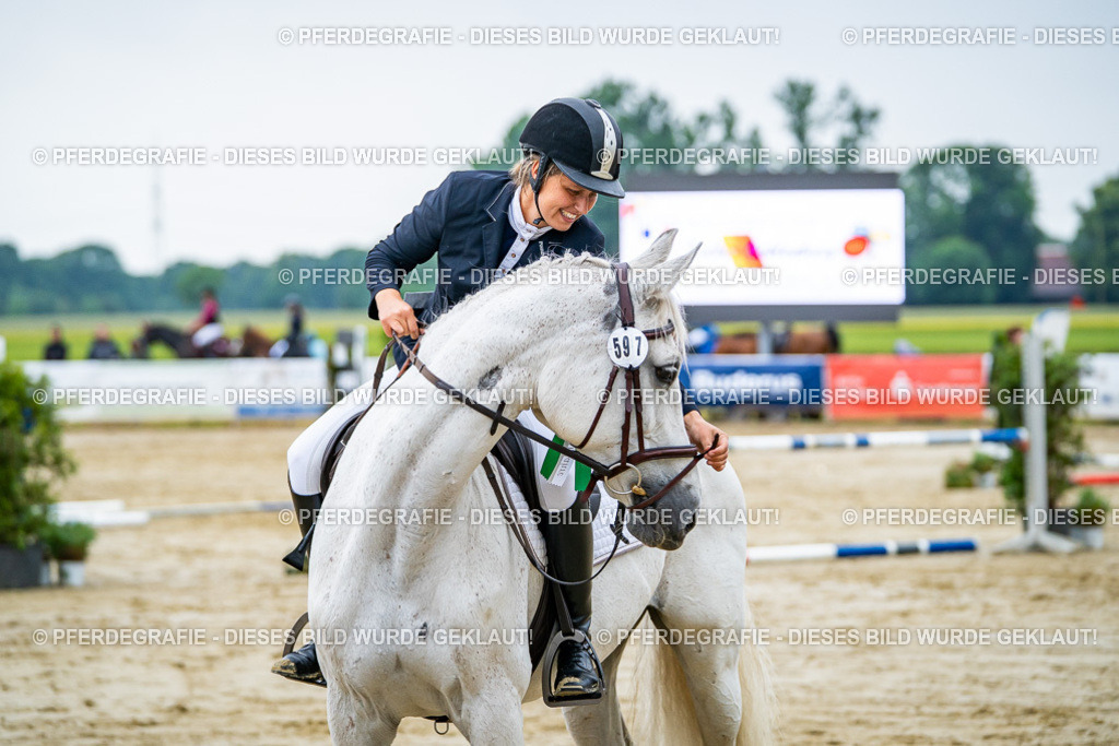 DSC02838 | Pferdegrafie