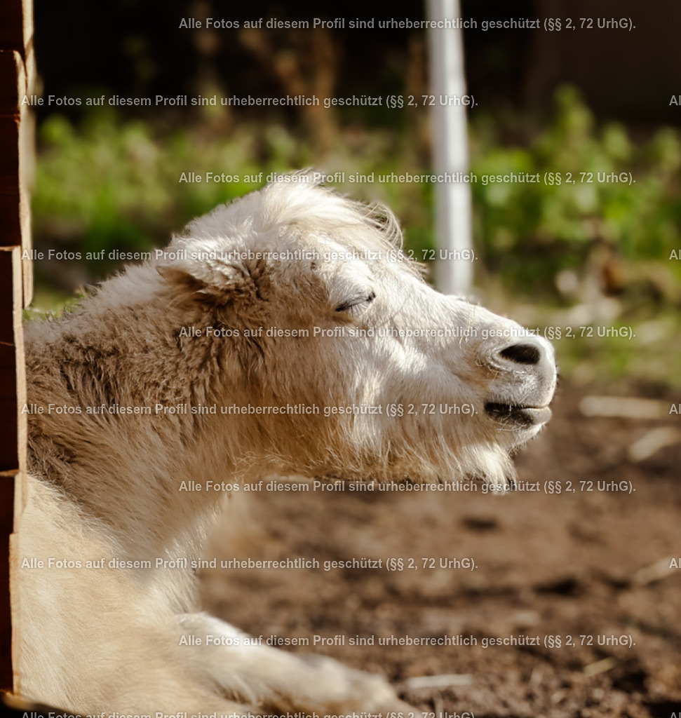 1P5A8986 | krollfotografie - Realisiert mit Pictrs.com