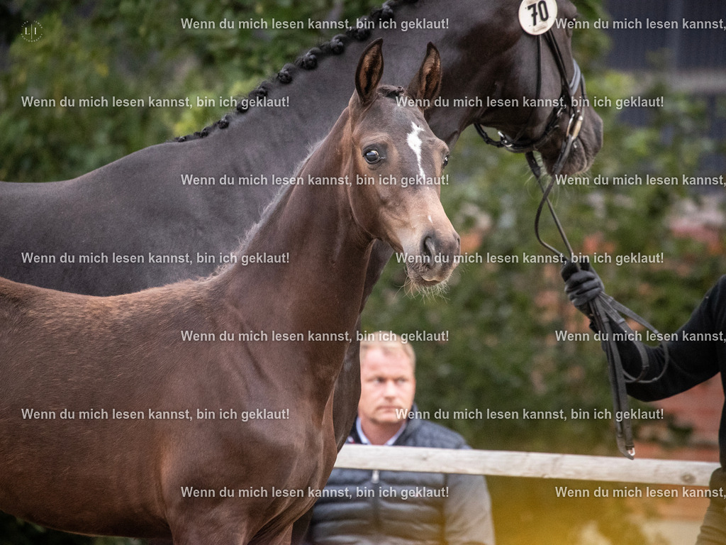 A10I7234 | photographylinaismer - Realisiert mit Pictrs.com