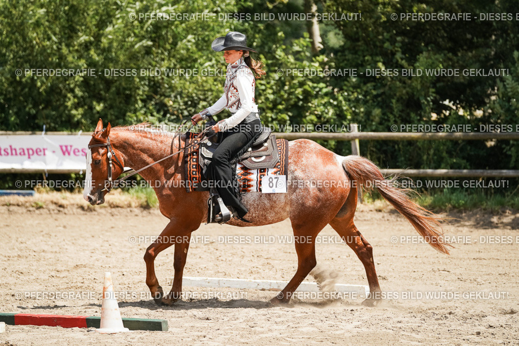 DSC07738 | Pferdegrafie