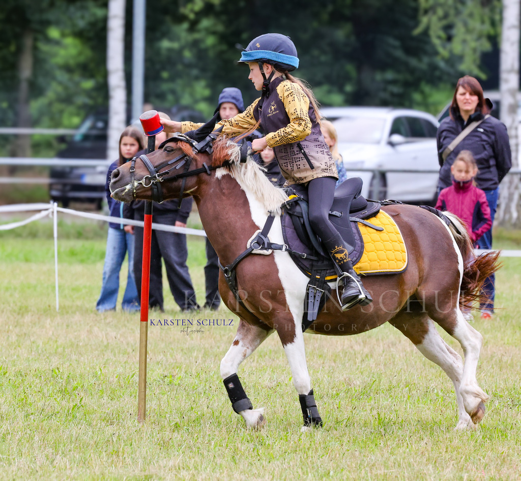 1B3A0169 | Reitsport Reiten
