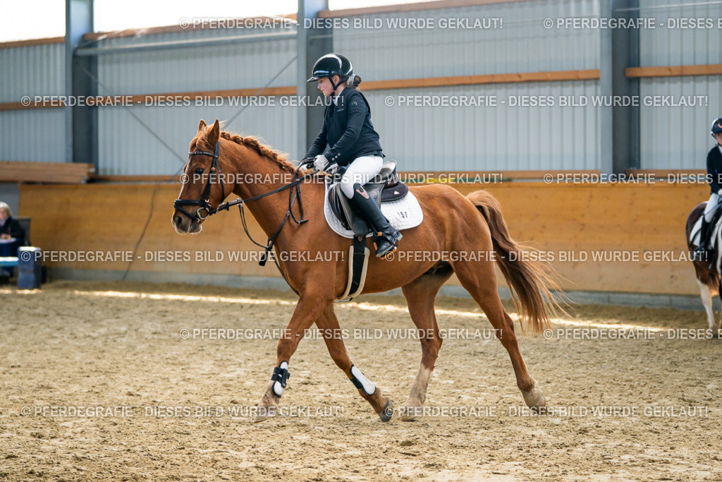 DSC01895 | Pferdegrafie