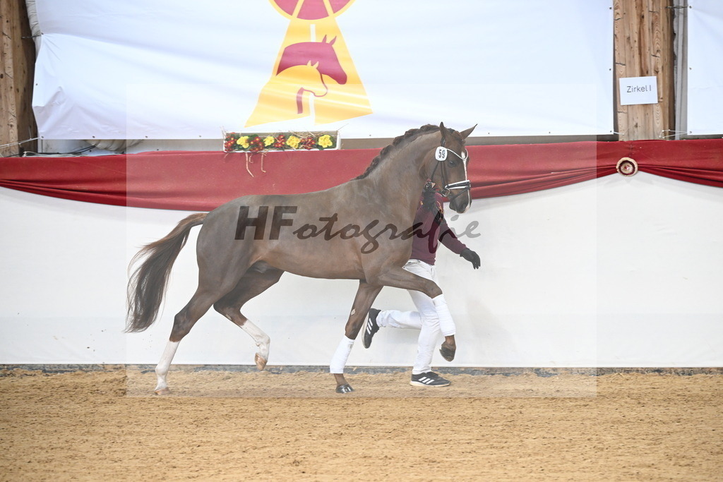 Kat.-Nr. 59 v. Flashbang_Gäher_3265154 | hf-fotografie - Realisiert mit Pictrs.com
