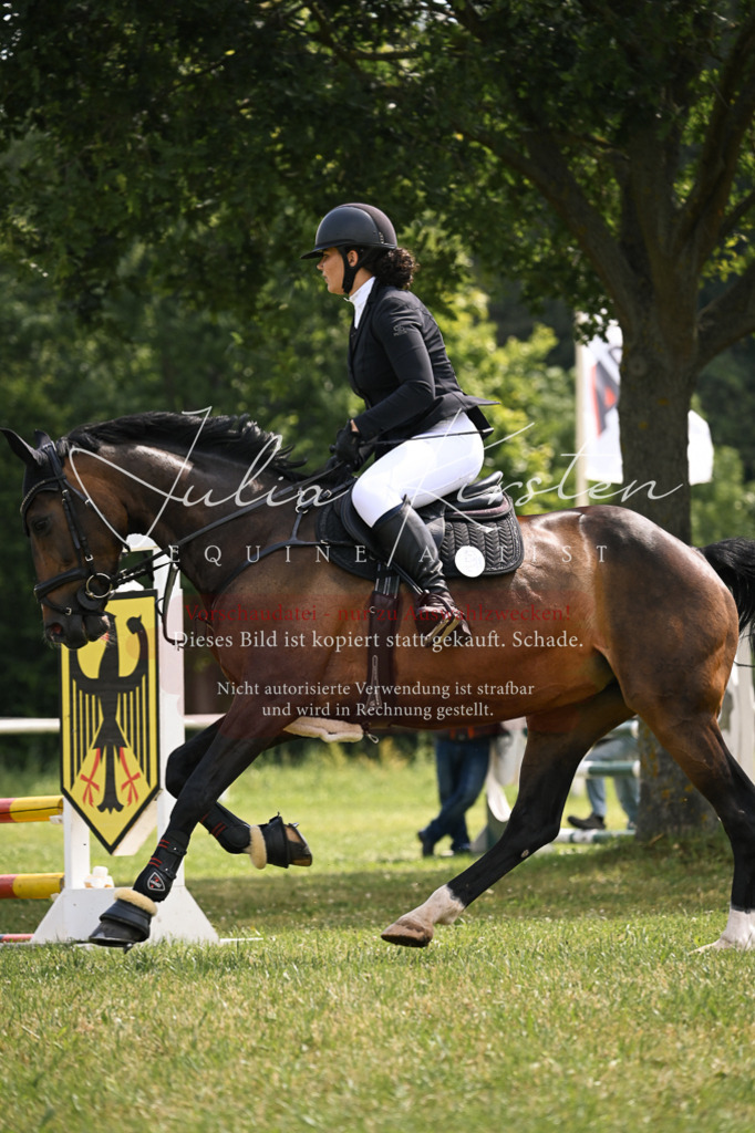 DSC_9096 | Pferde- und Turnierfotografie in Westsachsen. Pferdeportraits, Auftragszeichnungen und intuitive Kunst.