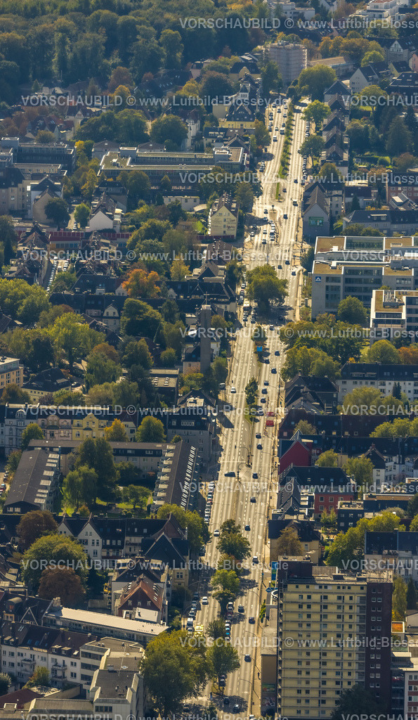 Essen241001706 | Luftbild, Alfredstraße Bundesstraße B224 zwischen Grugaplatz und Holunderweg, Bäume im Mittelstreifen,  Wohngebiet, Rüttenscheid, Essen, Ruhrgebiet, Nordrhein-Westfalen, Deutschland