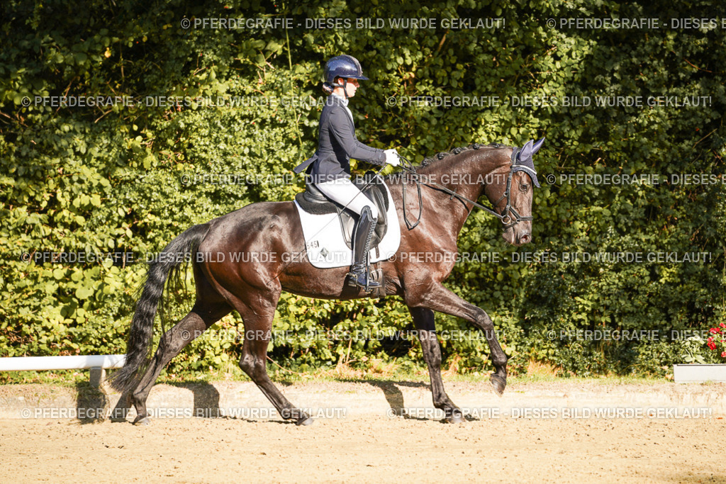 DSC06319 | Pferdegrafie