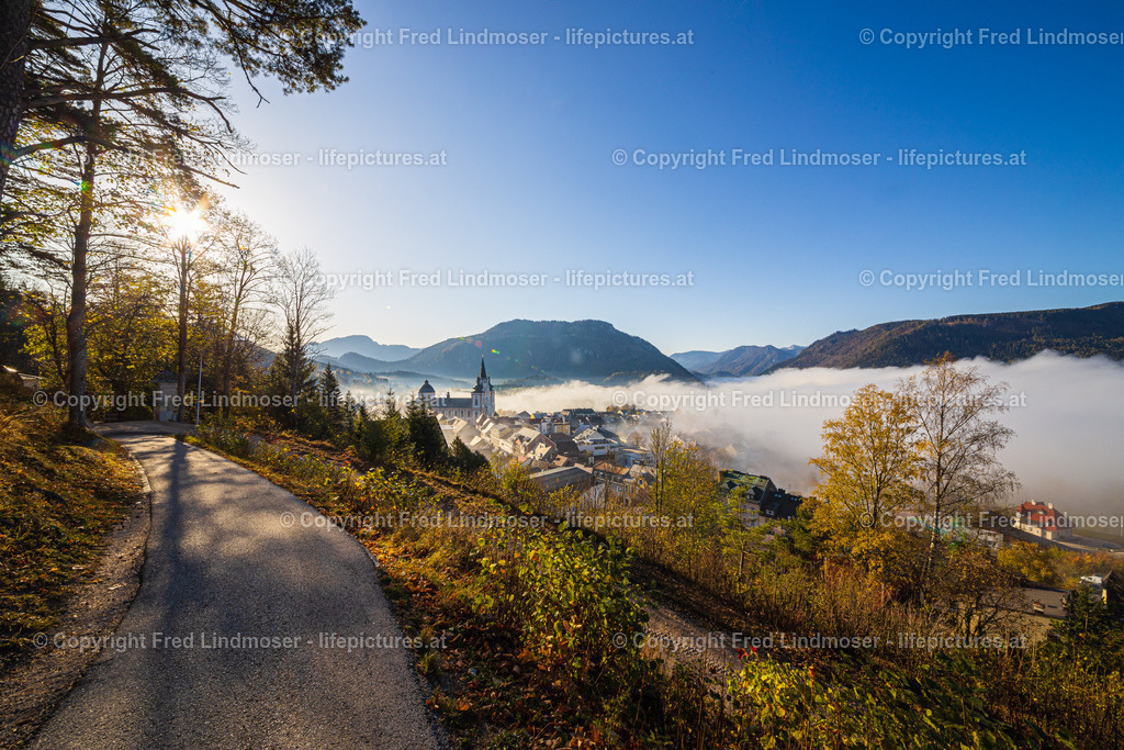 Mariazell Nationalfeiertag 2019-21128 | Fotos und Fotoprodukte - Realisiert mit Pictrs.com