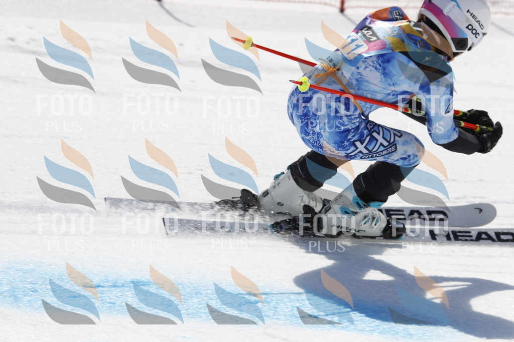 _U3G0530 | holidayphoto