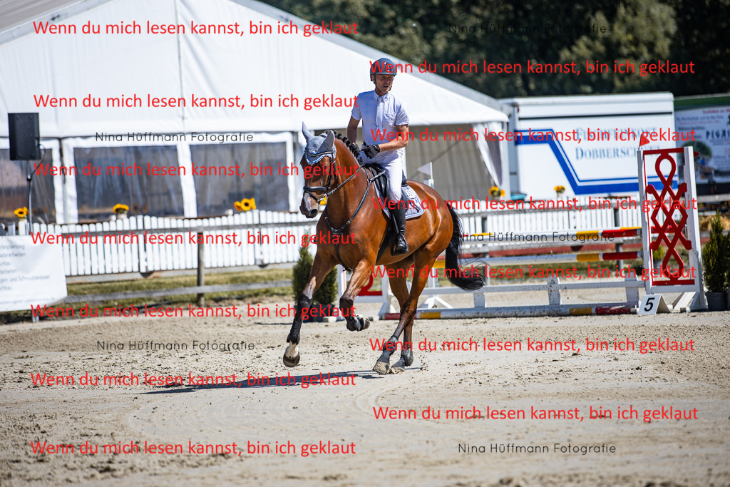 BK1A5349 | Turnierbilder Turnierfotos Nina Hüffmann Turnierfotografie Pferdefotografie Tierzeichnung Haustierzeichnung Pferdezeichnung Hundezeichnung Videograf  - Realisiert mit Pictrs.com