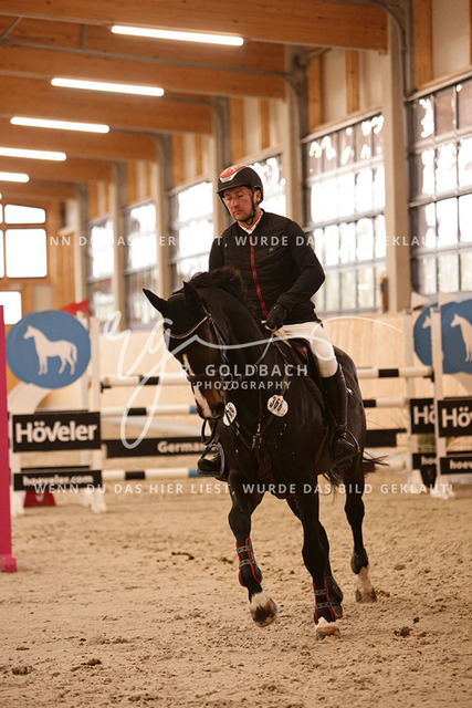1J2A7098Paul Wiktor_ Majesta_ Kn368_ Glantz_ Hohen Wieschendorf | Foto- und Videografie für alles rund ums Pferd. Hochwertige Bilder und Videos vom Spring- und Dressurreiten, Voltigieren & mehr. Jetzt aktuelle Veranstaltungen und Preise im Shop ansehen. - Realisiert mit Pictrs.com