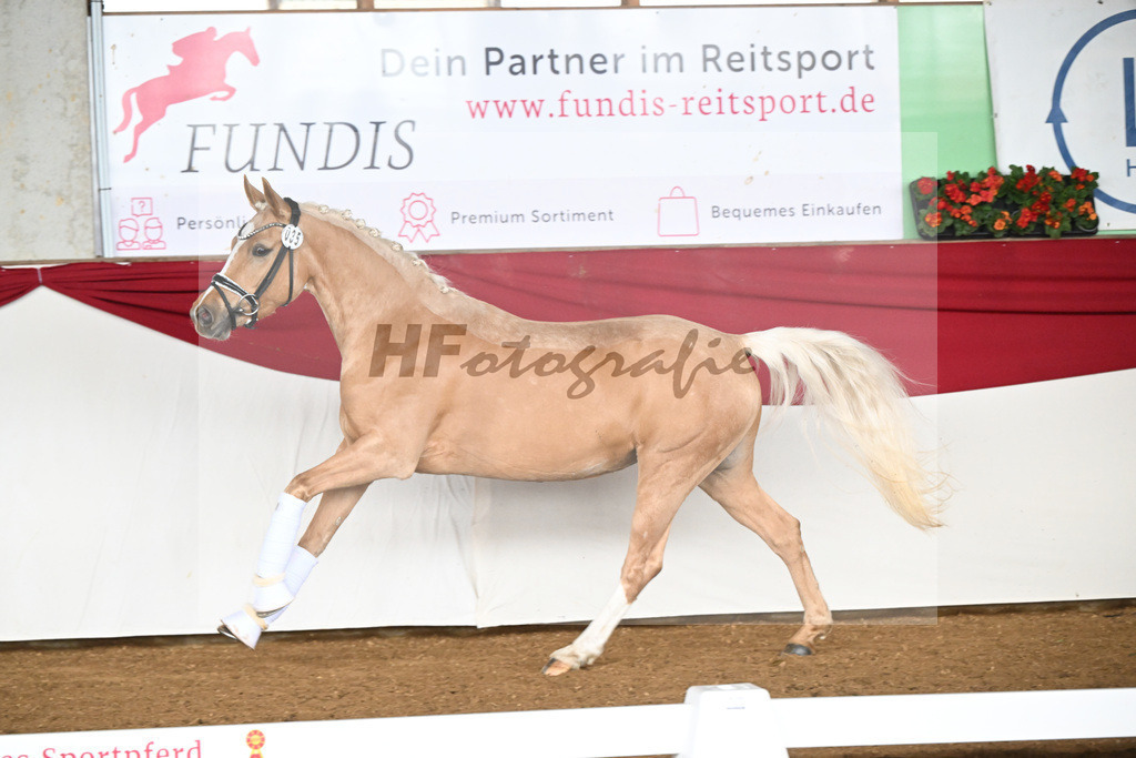 Kat-Nr. 35 Gruendleinshofs Herzbeben v. Golden West_Bauer_16250351 | hf-fotografie - Realizzato con Pictrs.com