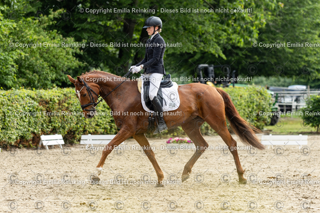 CL5A4590 | Emilia Reinking Fotografie - Realisiert mit Pictrs.com