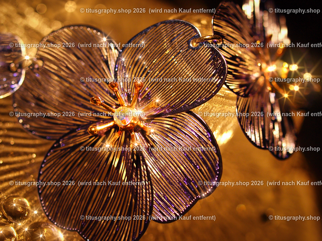 PB195368-b | Fotokunstarbeit aus der INSTAGRAM-Gallerie auf titusgraphy.eu - Realisiert mit Pictrs.com