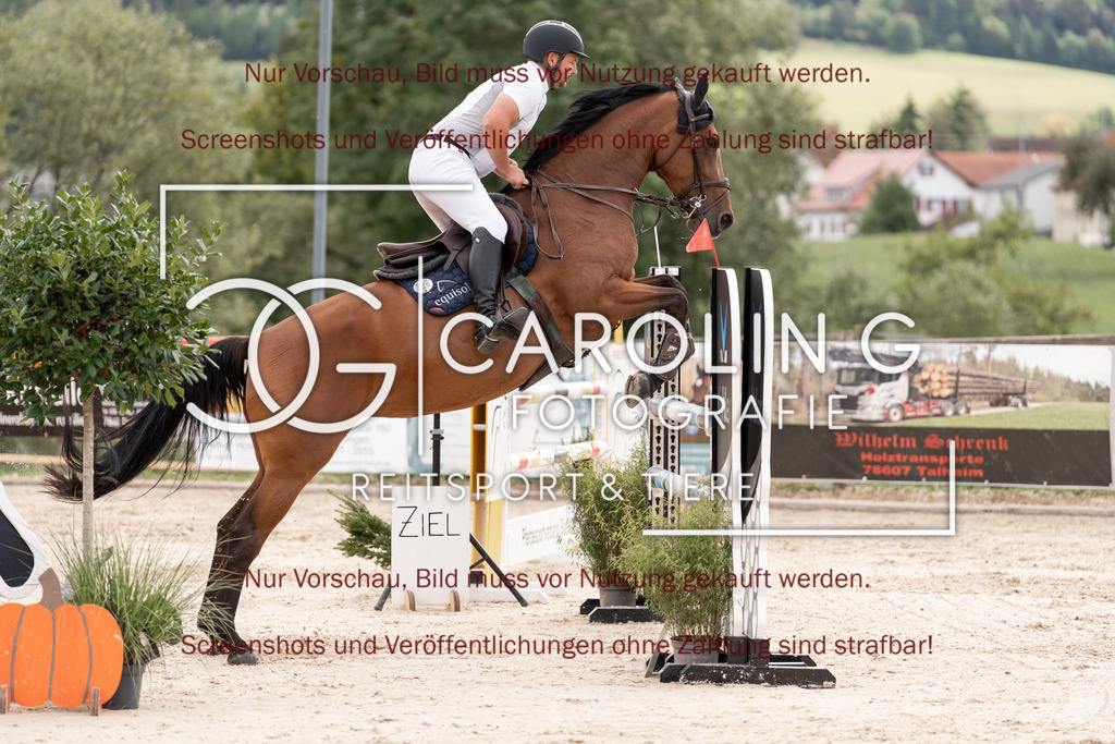 DSC06583 | Springturnier_Teamchallege_Talheim_2026, Alexander_Auer, Ma_Belle_98