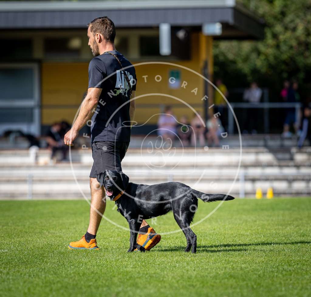 Pfotenfotografie_DV3A4969 | Hundefotografie, Tierfotograf, Pfotenfotografie, Fotoshooting Hund, Hunde Portrait, Hundesport, Hundeportraits, Heideshooting, Hunde, Sportfotograf, Hundefotograf, Turnierhundsport, THS,  - Realisiert mit Pictrs.com