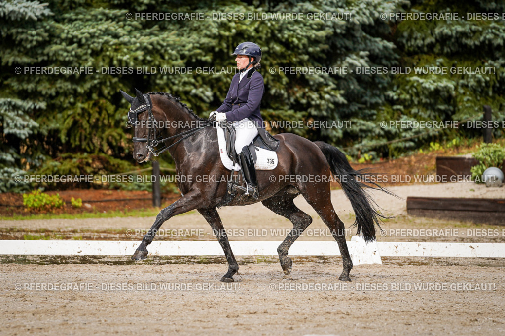 DSC09831 | Pferdegrafie