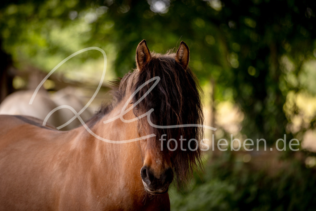 846A0466 | fotosleben - Realisiert mit Pictrs.com