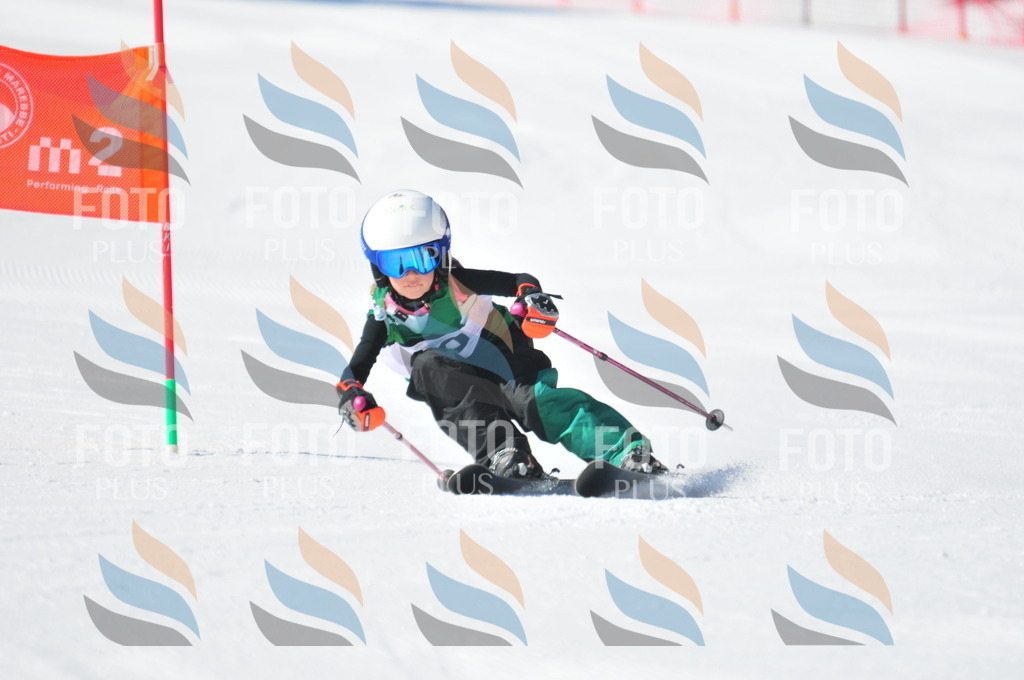 C2728 | holidayphoto