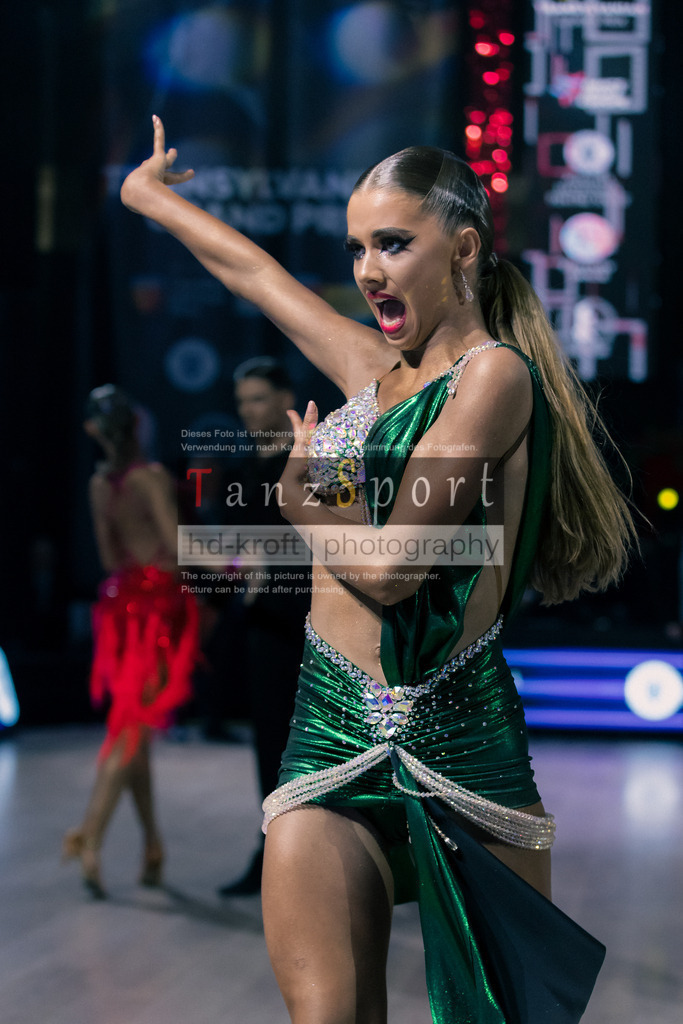 IMG_8225 | Tanzsportbilder, Standardtanz, Lateintanz, WDSF, DTV, LTVB, dancecomp, goc, hessen tanzt, blaues band der spree, walzer, tango, wiener walzer, slowfox, quickstepp, samba, rumba, cha-cha-cha, paso doble. jive, hd-kroft photography, turniertanzsport