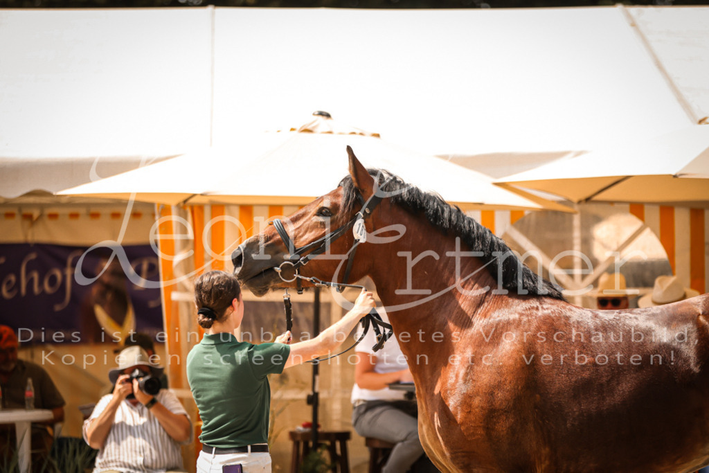 2.Sa00042 | Leoni Ertmer Photography - Realisiert mit Pictrs.com